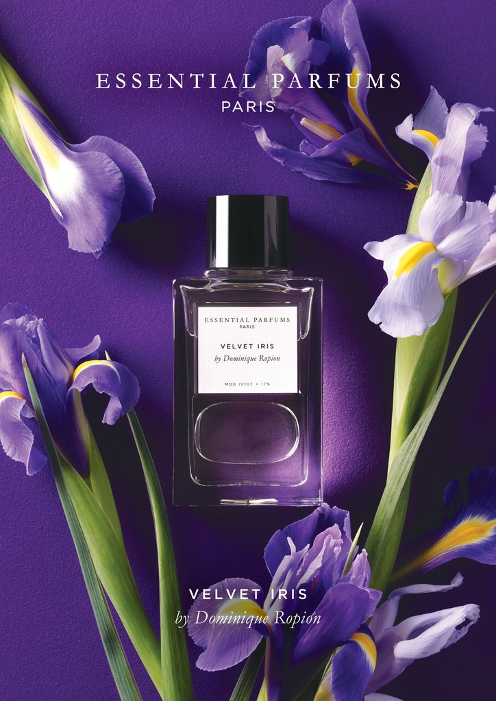 Showcard Velvet iris